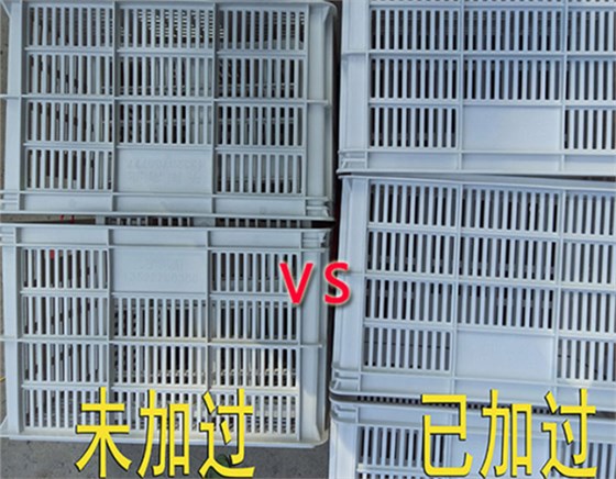 效果对照图